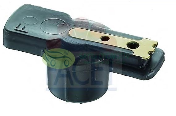 Tevzi Makara Sunny 1.4